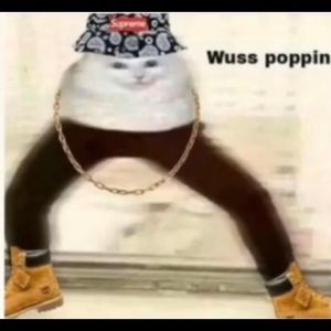 Meet your Posher, Jayden